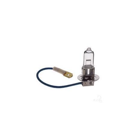 Hella H3 Globe Pk22S 12V 55W YC1255BULK