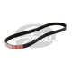 Gates Fan Belt Ribbed 4PK770