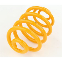 KING SPRINGS Coil Spring Each