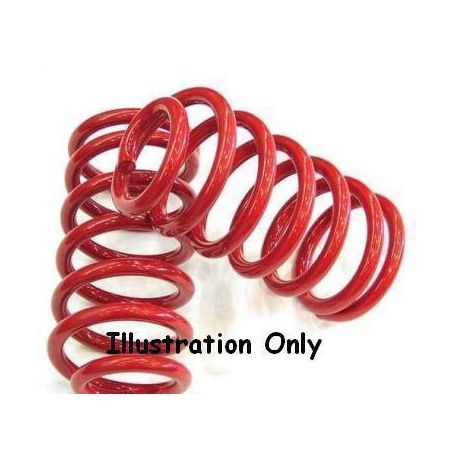SAS AUTO PARTS COIL SPRING CNFL-228