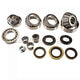 DRIVETECH Differential Overhaul Kit