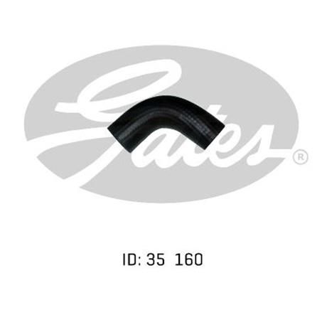 Gates Radiator Hose Lower 05-0422