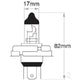 OEX R2 Globe 24V 55/50W Standard - 1 Pce GLX16240