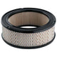 RYCO AIR FILTER - CHRYSLER VALIANT A231