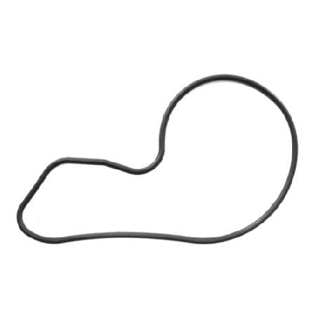 Permaseal Water Pump Gasket WP137