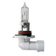 Philips HB3 Globe 12V 60W Vision Plus 50 9005VPB1