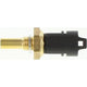 OEX  Temperature Sensor OCS55