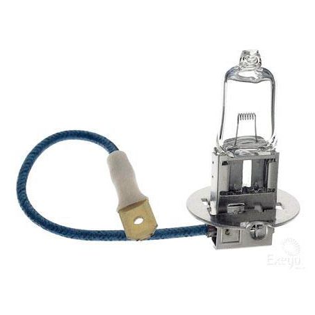 Hella H3 Globe Pk22S 24V 100W YC24100BULK
