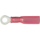 OEX Crimp Terminal Ring Red ID 4.3mm Heat Shrinkable 50 Pce