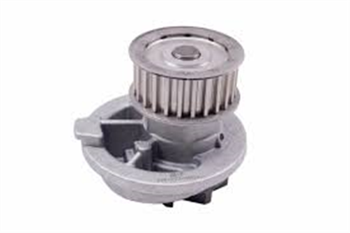 DAEWOO Water Pump Daewoo Nubira 2L DOHC