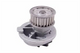 DAEWOO Water Pump Daewoo Nubira 2L DOHC