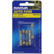 Narva Glass Fuse 3AG 20A 5 Pce