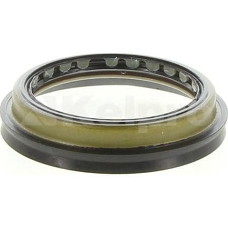 Kelpro Oil Seal 98871