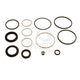 DRIVETECH Steering Box Seal Kit