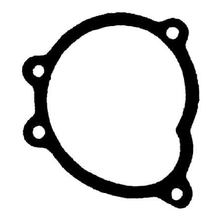 Permaseal Water Pump Gasket WP191