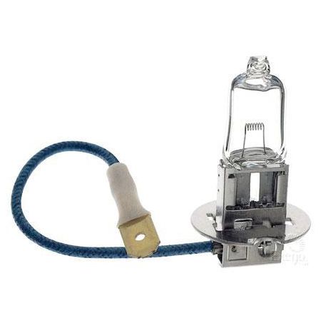 Hella H3 Globe 12V 100W Standard YC12100BULK