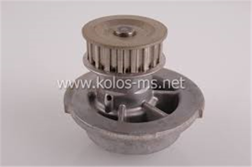 DAEWOO Water Pump Daewoo/Holden  Cielo Sohc
