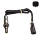 OEX  Oxygen Sensor OOS1311