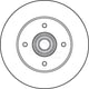 TRW Disc Brake Rotor 250mm x 8 Min