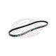 Gates V-Belt 447 Tr28510 20A1295