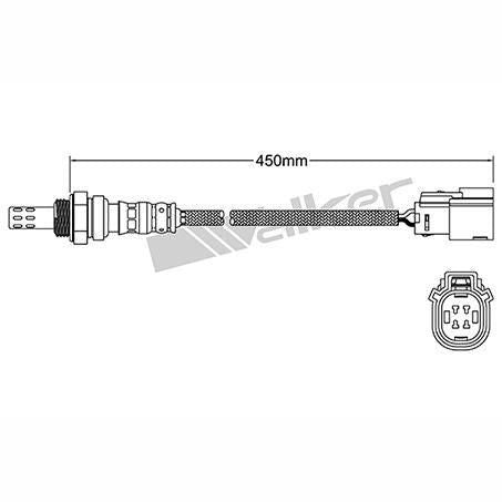 OEX  Oxygen Sensor OOS5177