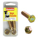 CHAMPION AUTO PARTS Champion Screw & Nut Pack M10 x 50 x 1.25 BM110