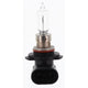 Narva HB3 P20d Globe 12V 60W