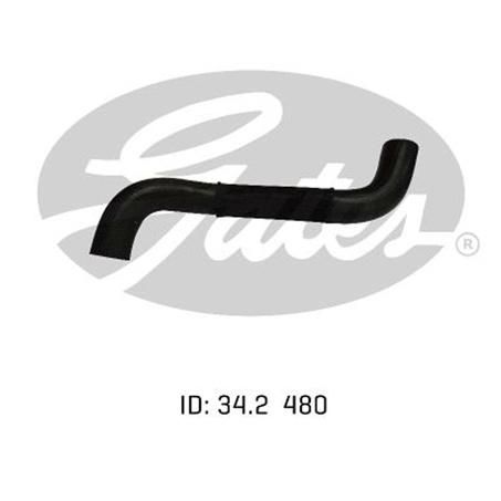 Gates Radiator Hose Lower 05-0828