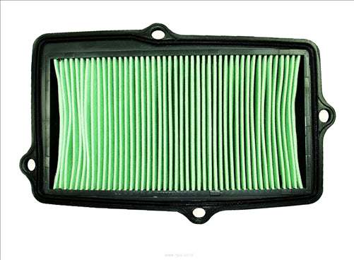 RYCO AIR FILTER - HONDA/ROVER A1450
