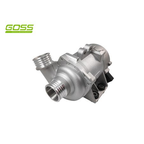 Goss AUXILIARY WATER PUMP BMW AP110