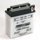 POWERSONIC P/SPORT BATTERY CONVENTIONAL 6 V