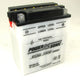 POWERSONIC P/SPORT BATTERY HIGH PERF 12V