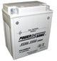 POWERSONIC P/SPORT BATTERY ACTIVATED AGM 12V