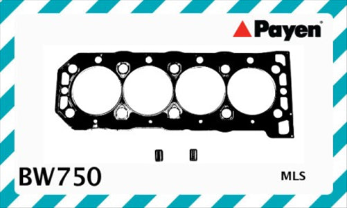 Payen Gaskets CYLINDER HEAD GASKET BW750