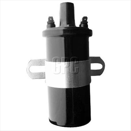 Goss RAE IGNITION COIL C173