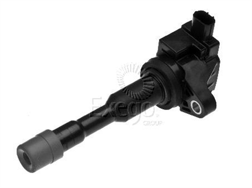 Goss RAE IGNITION COIL C389