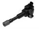 Goss RAE IGNITION COIL C389