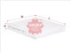 Sakura CABIN FILTER FITS RCA181P WACF0123 CA-19190