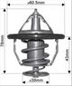 DAYCO THERMOSTAT 60MM 82 DEGREES C - 180 DEGREES F DT128A