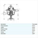 DAYCO THERMOSTAT 54MM 82 DEGREES C - 180 DEGREES F DT157A