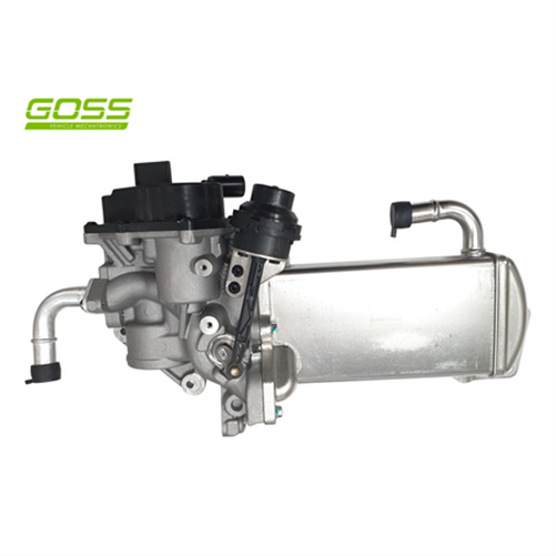 Goss EGR COOLER & VALVE ASSEMBLY EV158