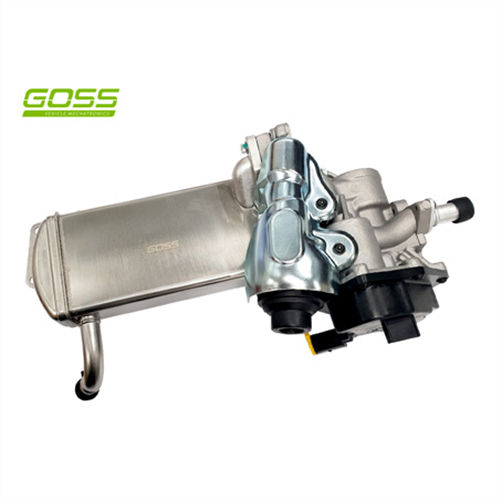Goss EGR COOLER & VALVE ASSEMBLY EV149