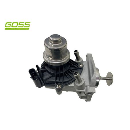 Goss EGR VALVE EV166