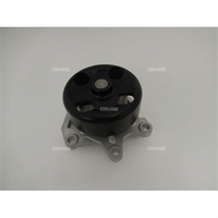 GMB PREMIUM WATER PUMP DACIA MERCEDES-BENZ NISSAN
