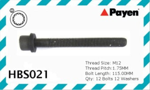 Payen Gaskets HEAD BOLT SET TOYOTA 3VZ-E HBS021