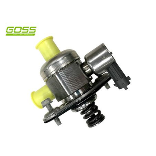 Goss HIGH PRESSURE FUEL PUMP HPF100