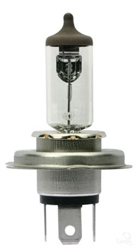 OEX HS1 Globe 12V 35/35W Standard