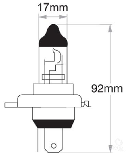 OEX HS1 Globe 12V 35/35W Standard