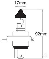 OEX HS1 Globe 12V 35/35W Standard