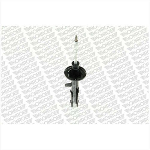 Suspension Strut Original G16596